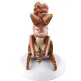 Hubrig Volkskunst GmbH Hubrig-Volkskunst Winterkinder Eichhörnchen