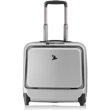 Pack Easy Genius 2-Rollen Cabin 42 cm / 43 l silber