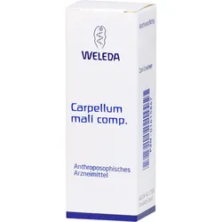 Carpellum Mali Comp.