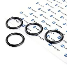 dr.motor AUTOMOTIVE Dichtungssatz, Ölkühler