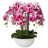 Kunstorchidee Kunstpflanze Orchidee Phalenopsis 54 cm, weiß in Keramik-Schale Orchidee, Creativ green, Höhe 54 cm rosa