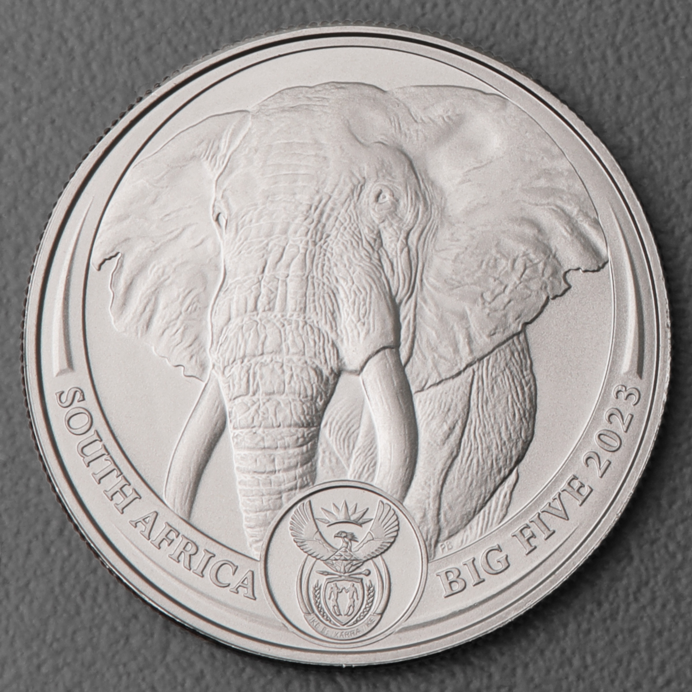 Platinmünze 1oz Elefant 2023 - Big Five South Africa Big Five Series