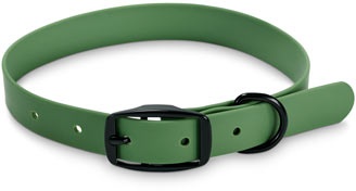Hunde-Halsband - grün