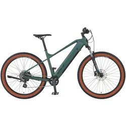 Prophete Dice 1.0 E-MTB E-Bike 27,5"