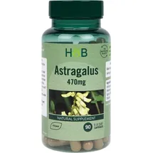 Holland & Barrett Astragalus Kapseln 90 St.