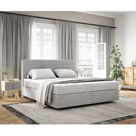 DeLife Dream-Well 180 x 200 cm H2/H3 silbergrau