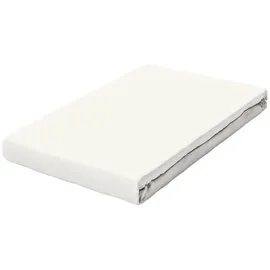 schlafgut Spannbettlaken Baumwolle-Elasthan 120 x 200 - 130 x 220 cm Off-White