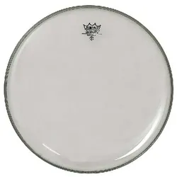 Remo Ambassador - Tom Fell - 13 - Clear - - Tom-Fell