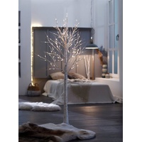 my home LED Baum »Birkenbaum«, 156 flammig-flammig, mit zahlreichen LEDs, Weihnachtsdeko aussen, weiß