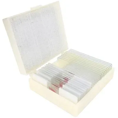 Konus vorbereitete Folien: Biologie lehren 2 (10 Stk.)