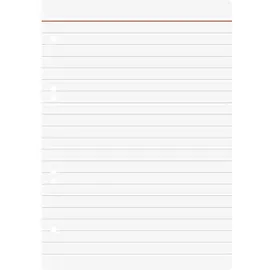 Brunnen Ringbucheinlagen A5 liniert, 50 Blätter