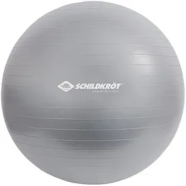 Donic Schildkröt GYMNASTIKBALL 65cm, (silver)