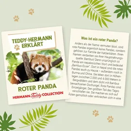 Teddy-Hermann Roter Panda 30 cm Beige