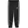 Puma teamKING Anthem Hose Schwarz F03