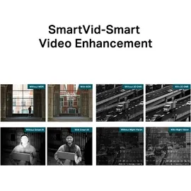 TP-Link VIGI C350 Schwarz