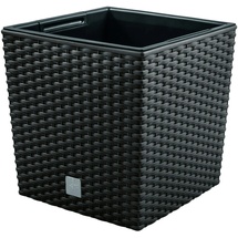 Prosperplast Rato Low 22,3 x 22,3 x 22,8 cm anthrazit