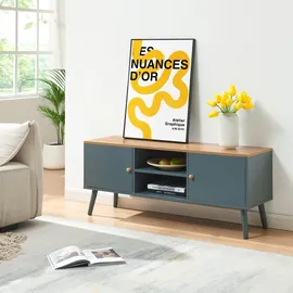 [en.casa] Reyljand TV-Lowboard 120 x 35 x 50 cm Grau/Eicheoptik MDF