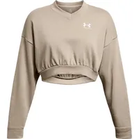 Under Armour Rival Terry Oversized Crop Sweatshirt - Timberwolf