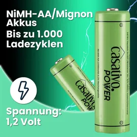 casativo-power AA 2700 mAh 20 St.