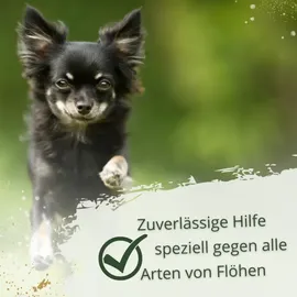Iperon Spot-On Zeckenschutz Flohschutz kleine Hunde 5 x 1 ml