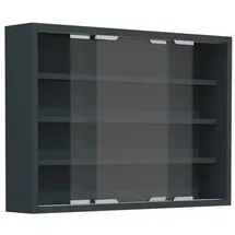 VCM Glasvitrine Agisa (BHT 57x40x10 cm - grau ¦ Maße B: 57 x 10