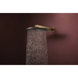Hansgrohe Raindance Alive S Kopfbrause 300 1jet (24520140)