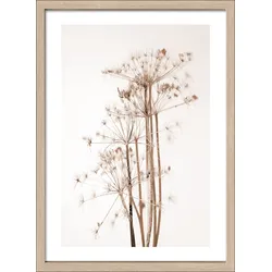 Gerahmtes Bild DRIED FIBER VI