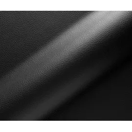 DeLife Freischwinger Pejo-Flex Echt-Leder Schwarz Freischwinger flach Edelstahl Taschenfederkern