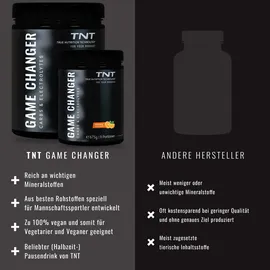 TNT (True Nutrition Technology) TNT Game Changer 1350g / Orange