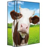 Banjado XXL Medizinschrank Abschliessbar 35x46x15cm Arzneischrank Anthrazit Aus Metall Mit Motiv Pardon