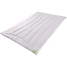 franknatur Bettdecke Kamelhaar Baumwolle Sommerdecke Karel