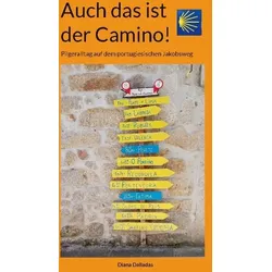 Auch das ist der Camino!