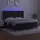 vidaXL Boxspringbett mit Matratze & LED Schwarz 180x200 cm Samt