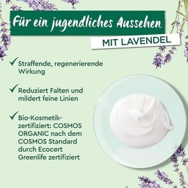 Garnier Bio Lavendel Anti-Falte-Feuchtigkeitspflege 50 ml