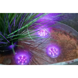 CASANOVA casa NOVA LED-Teelicht BEANS, Mehrfarbig - DH 7x3 cm