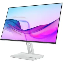 Lenovo L24i-4A 24" grau