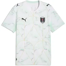 Puma ÖFB Auswärtstrikot Replica 2023 Herren Gr. 3XL