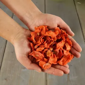 Lyra Pet 1 kg Lyra Pet® Karotten getrocknet