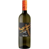 Franz Haas Pinot Grigio IGT 2023 - 13.50 % vol