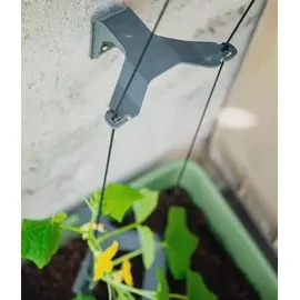 Gusta Garden Curt Cucumber Gurkentopf 35 x 138 x 28 cm dunkelgrün