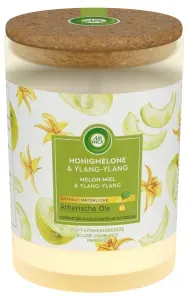 AIR WICK Duft-Stimmungskerze, 185 g, Duftkerze mit ätherischen Ölen fügt sich harmonisch in jedes Ambiente ein, Honigmelone & Ylang-Ylang