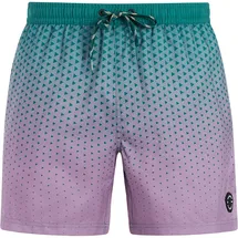 Protest Badeshorts Damen Grün/Petrol XS