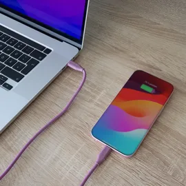 InLine USB-C 1 m Lila