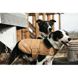 CARHARTT Dog Chore Coat Hundemantel braun XL