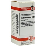 DHU-ARZNEIMITTEL CARDIOSPERMUM D12
