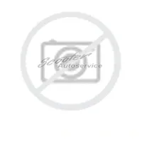 SAILUN Ice Blazer Arctic Evo 315/35 R21 111T XL