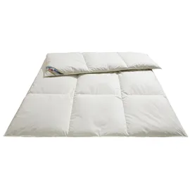 RIBECO Betten-Set silberweißweiß normal (55205)
