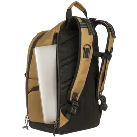 Element Scheme Skate One size 0 l braun