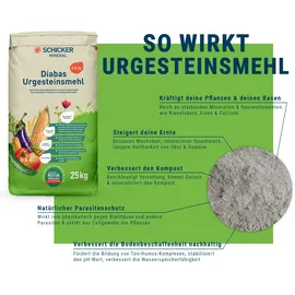 Schicker Diabas Diabas Urgesteinsmehl fein 10 kg