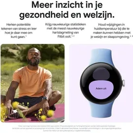 Google Pixel Watch 2 Wi-Fi champagne gold Sportarmband hazel